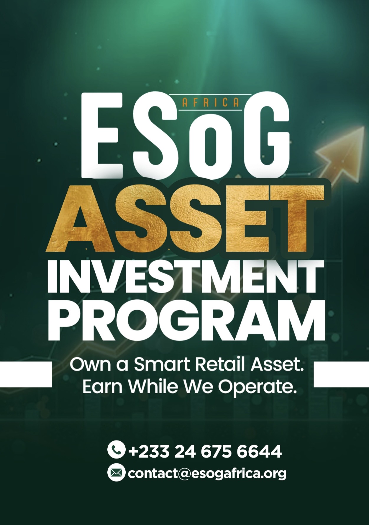 ESOG asset investment program